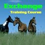 Exchange Training Course