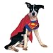 Search : Superman Pet Costume