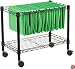 Alera FW601424BL Single-Tier Rolling File Cart, 24w x 14d x 21h, Black