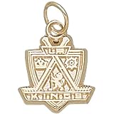 Anderson Jewelry Los Angeles Kings 10k Gold Puck Pendant