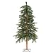 6' Pre-Lit Redwood Alpine Christmas Tree - 200 Clear Lights