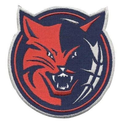 CHARLOTTE BOBCATS PRIMARY TEAM EMBLEM LOGO JERSEY PATCH