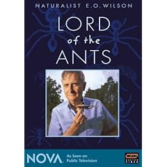 Naturalist E.O. Wilson- Lord of the Ants - NOVA by 
