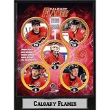 2011 Calgary Flames 9X12 Plaque Case Pack 14
