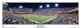 University of Florida Gators Gator Country The Swamp Stadium Panoramic Print (you choose frame and mat color)