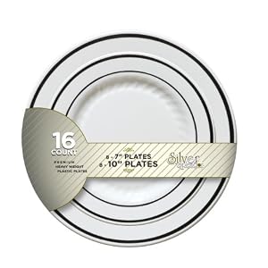 Fineline Settings Silver Splendor White With Silver Round China-Like 7