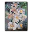 Orchid Stration - Gift Enclosure Cards (set of 12)
