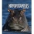 Living Wild: Hippos