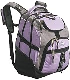 High Sierra Access Backpack Laptop Backpacks