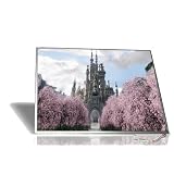 manual