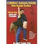 Combat Baguazhang Nine Dragon System: Forms and Principles