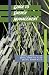 Guide to Energy Management, Seventh Edition