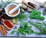 Medicinal Herbs Survival Garden Seeds Non-GMO Non-Hybrid 16 Varieties Preparedness Seeds