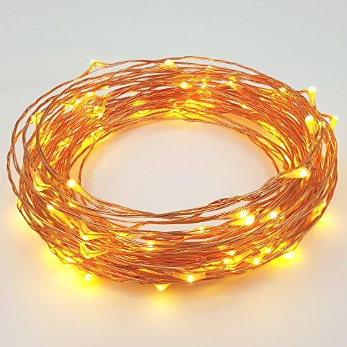 XYZER Dimmable LED String Lights Copper Wire 33ft 100 individual LEDs Starry Light with CE &amp;FCC Certified 12V Power Adapter, Warm White, Wireless Remote controller, for Holiday Christmas Wedding Party and Home Decoration.