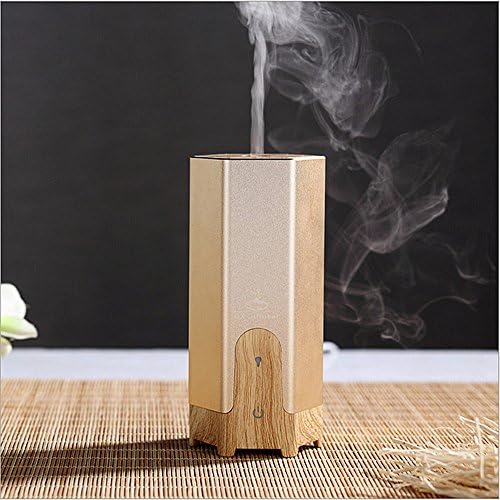 Car Cool Mist Aroma Humidifier - Ebon Aromatherapy Essential Oil Diffuser with Auto Shut-off Function (Gold)