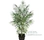 ONE 8' Artificial Tropical Areca Palm Tree, with No Pot, Minor Assembly Required.