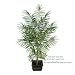 ONE 8' Artificial Tropical Areca Palm Tree, with No Pot, Minor Assembly Required.