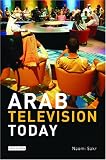 Arab Television Today