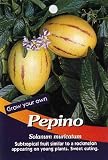 Pepino Melon Pear 10 Seeds - Solanum muricata - Indoors / Out - B000TXY0UY