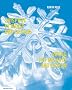 Skisport in Kunst und Design. Skiing in Arts and Design