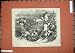1857 FOX HUNTING SPORT HOUNDS DOGS HUNTSMAN HORSES