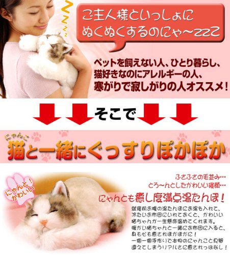 Cover image : 【あんか】猫ゆたんぽ にゃんともあったか湯たんぽ