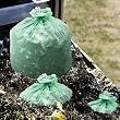 o Stout o - ASTM 6400 Biodegradable Trash Bags, .85mil, 42 x 48, Green