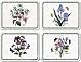 Pimpernel Botanic Garden Placemats Ds Set(s) Of 4 Mix 2