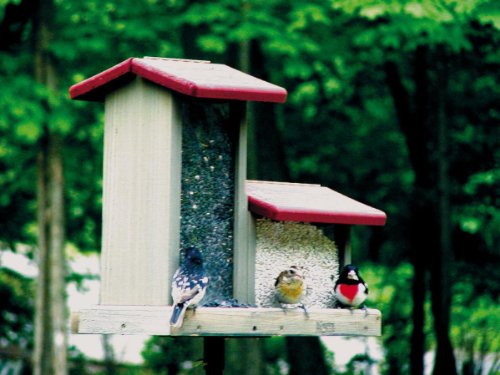Birds Choice 7 Quart Bird Feeder