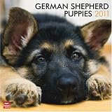 51oSQFvRn L. SL160  German Shepherd Calendar 2011