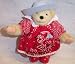 North American Bear Muffy Vanderbear Wild West dressed as The Littlest Cowpoke