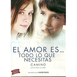 Amor Es Lo Que Necesitas: Camino