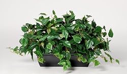 Artificial Philo Ledge Plant Zinc Cont.