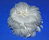 feather fascinator