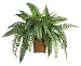 Boston Fern with Wicker Basket Silk Plant in Green - Nearly Natural - 6549