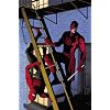 Daredevil by Mark Waid - Volume 2