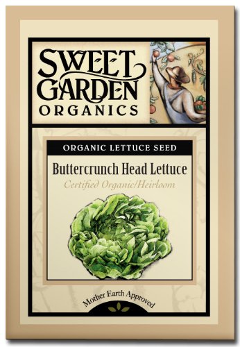 Best Price Buttercrunch Lettuce - Certified Organic Heirloom Seeds