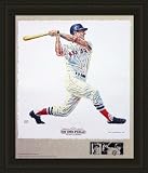 Boston Red Sox Framed Carl Yastrzemski Boston Red Sox Lithogaph By Michael Mellett MLB Baseball