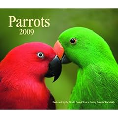 Parrots 2009 Calendar