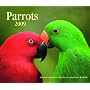 Parrots 2009 (Calendar)