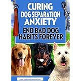 Curing Dog Seperation Anxiety