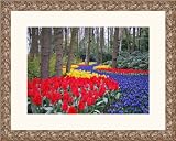 Picture Frame Silver Compo .. 1.25'' wide