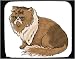 maltese20  - Decorated Mouse Pad with cat himalayan feline maltese