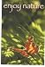 Enjoy Nature Butterfly Large Banner