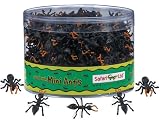 Safari LTD Mini Ants
