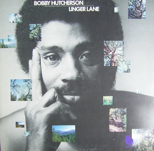 Linger Lane [Vinyl LP] [Schallplatte]