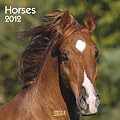 Horses 2012. Brosch�renkalender