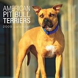 American Pit Bull Terriers 2009 Plato Square Wall Calendar