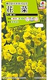 タキイ種苗花菜F1 観月