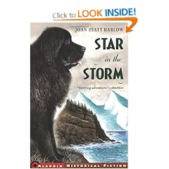 Star in the Storm